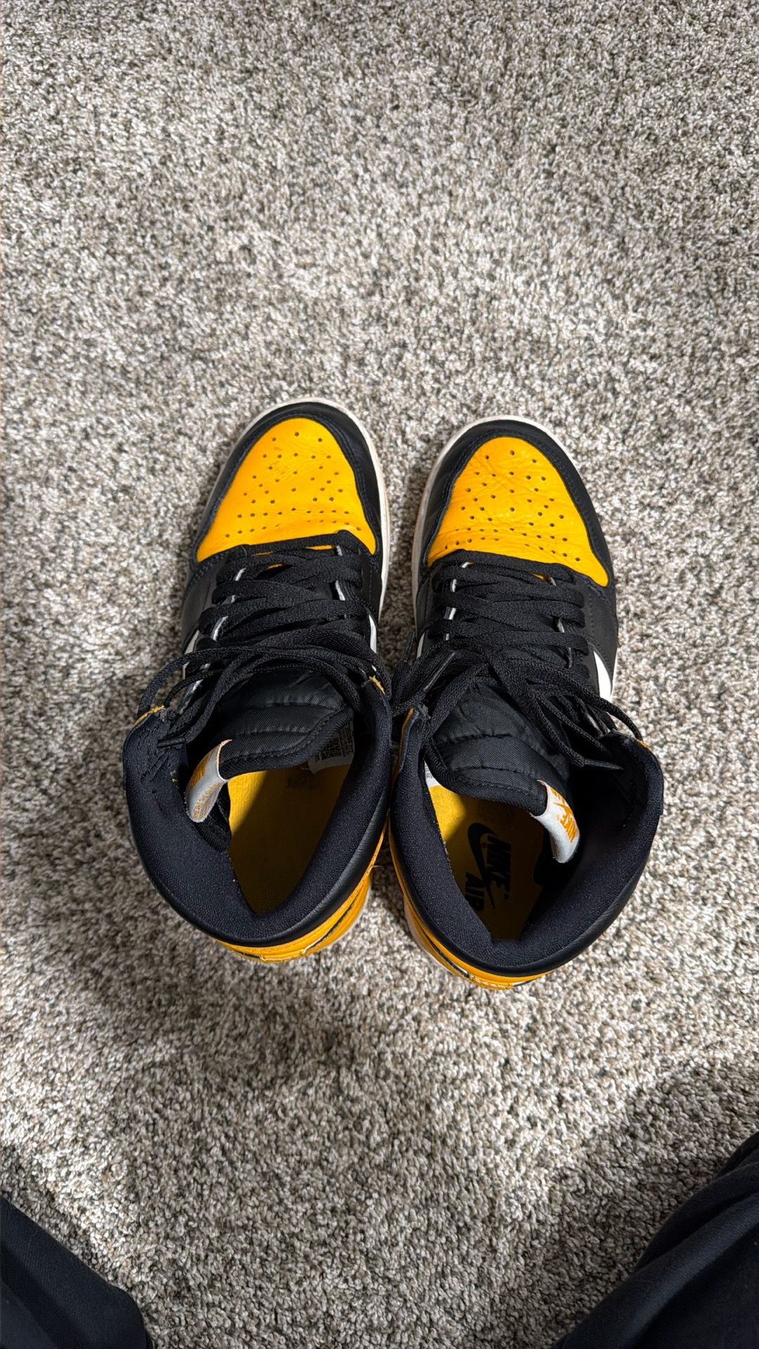 Jordan 1 (not free!)