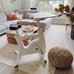 Pro V9 Home office All-in-One Desk Bike/Bike Workstation