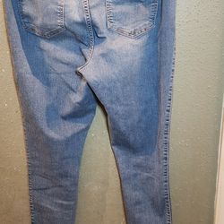 Torrid Jeggins  Jeans 