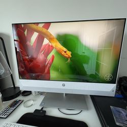 HP Monitor 
