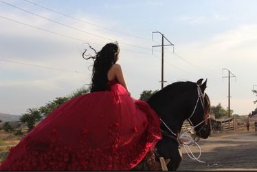 Red Ball Gown Quinceañera Dress