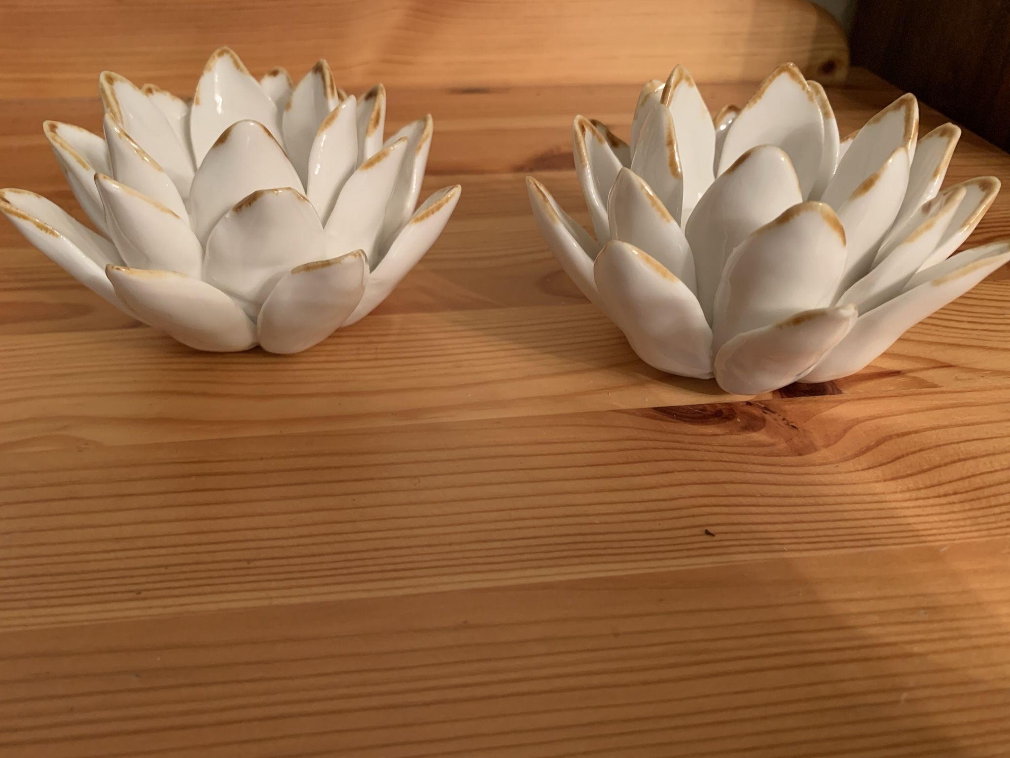 Lotus tea, light candleholders