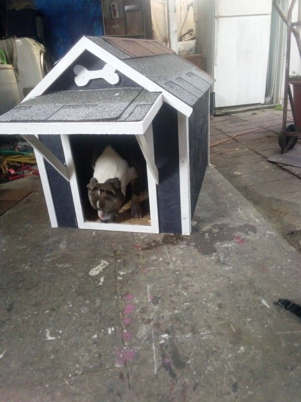 Large Dog House