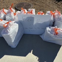 12 Bags of FREE CDs Many Genres And Artists 