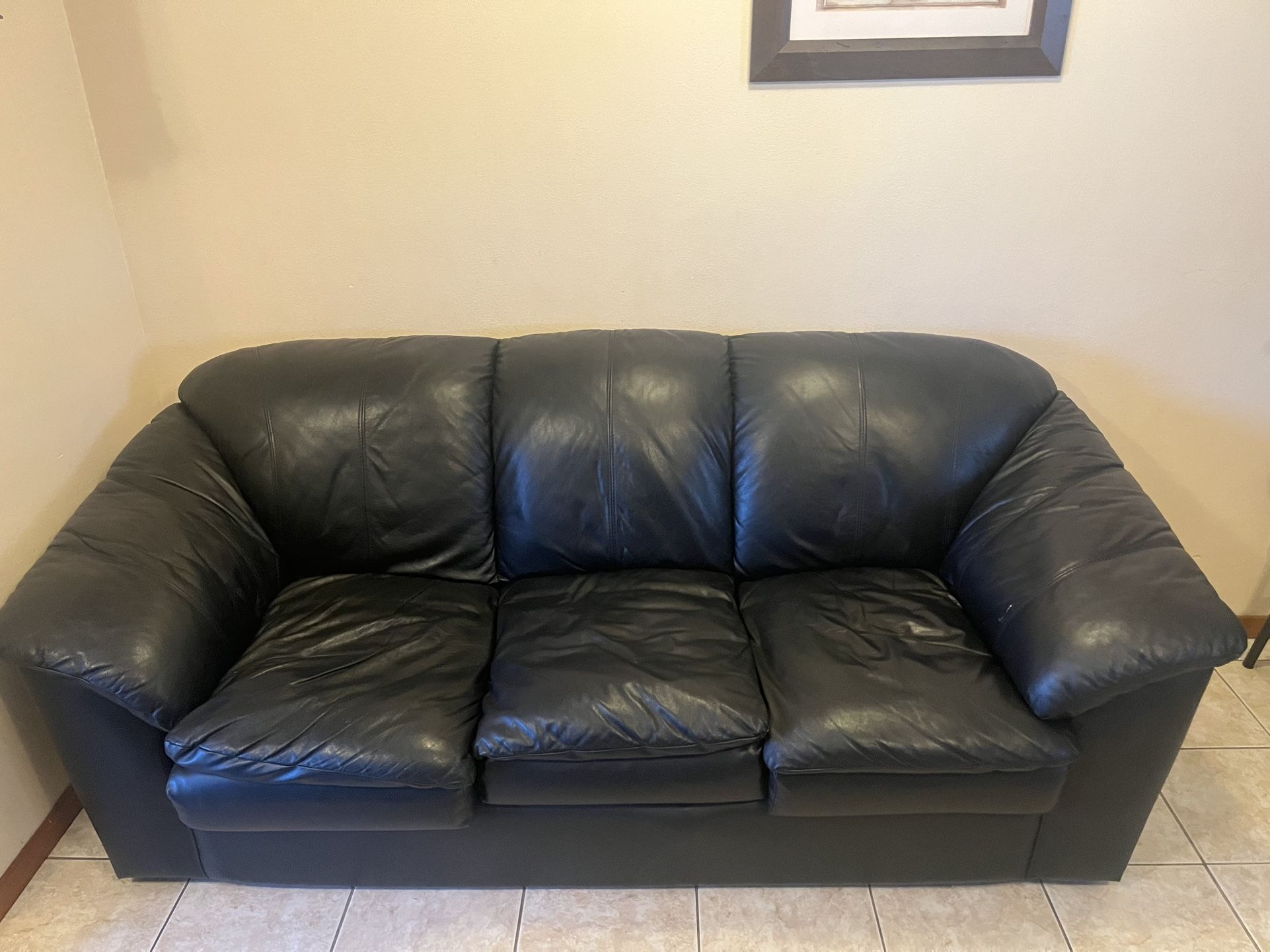 Leather Couches