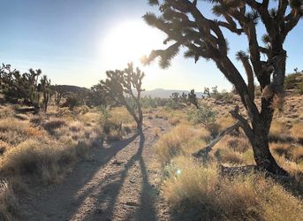 1 acre in Dolan Springs Arizona