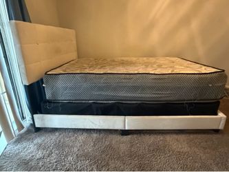 Bed, couch, TV