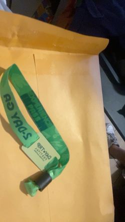 Sunday day trip ticket and bracelet