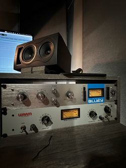 (Bluey Black Lion) and (Tube EQ Warm Audio)