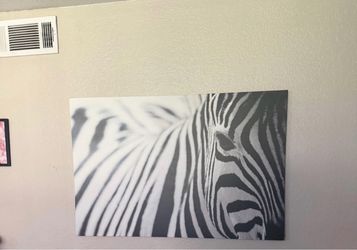 Cuadro de zebra