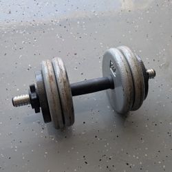 Single Dumbbell 