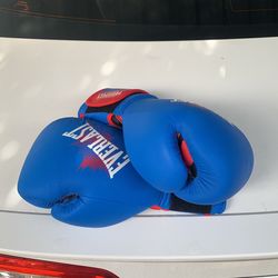 Everlast Prospect 8oz Youth Boxing Gloves