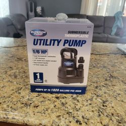 Submersible Water Pump 