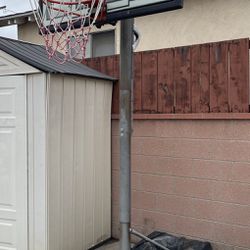 Basketball hoop ( Lifetime brand)