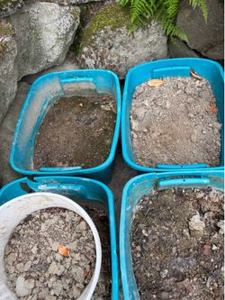 Free soil/dirt - you can use the tubs!