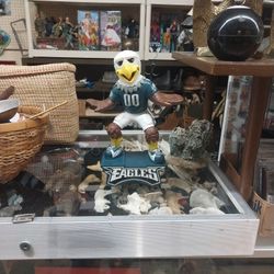 Philadelphia Eagles Football Mascot