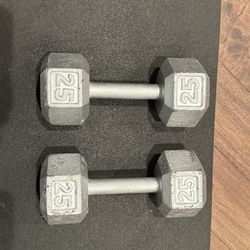 25 Pound Dumbbells 