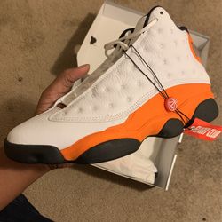DS starfish 13s
