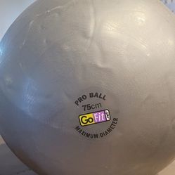 Excersise Ball