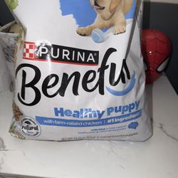 Dog Food 