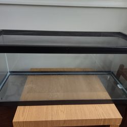 Aquarium 20 gallons Long Tank With Mess Cover 