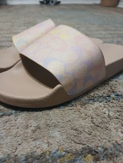 Coach slides