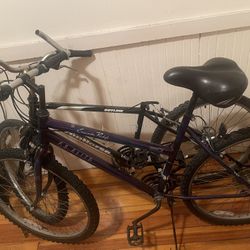 Cascade Ridge Mountain Bike