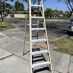 Ladder 7 Ft