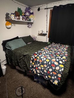 Queen Bed And Bed Frame