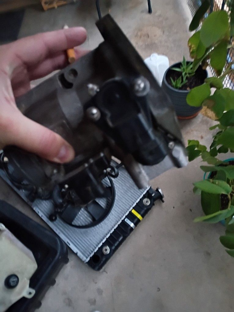 Throttle Body Sensors