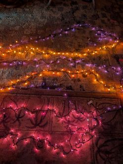 6 Halloween Orange and Blacklight strands