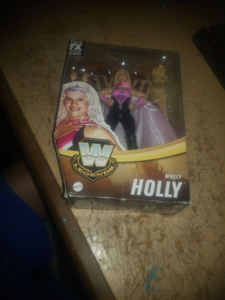 Wwe Figure