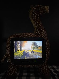 Plush Giraffe Tv (Please Read)