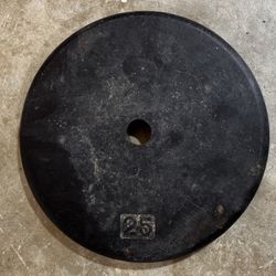 25 Lb Standard Weight 