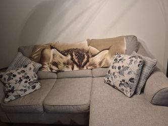 Small gray sofa