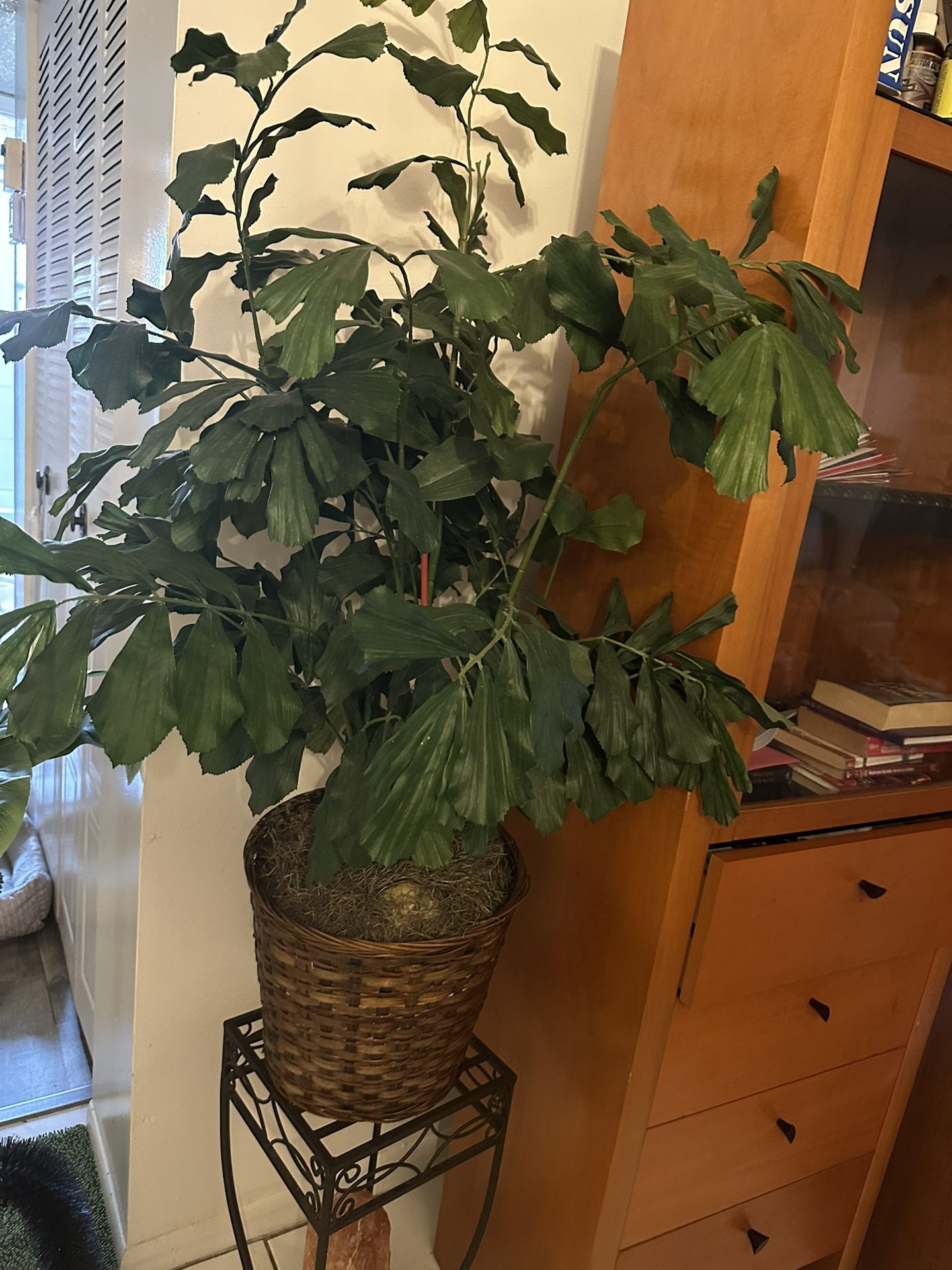 Fake Plants