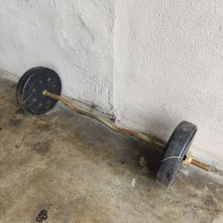 Barbell Weights Weightlifting 40 Lb