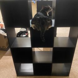 Target Cube 3x4 Shelves