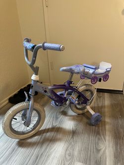 Frozen Bicycle