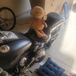 Captain America HARLEY DAVISON