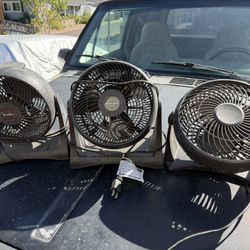 fan