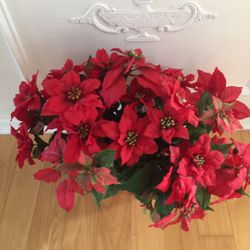 Red Flower Poinsettia  Christmas Pot Decoration