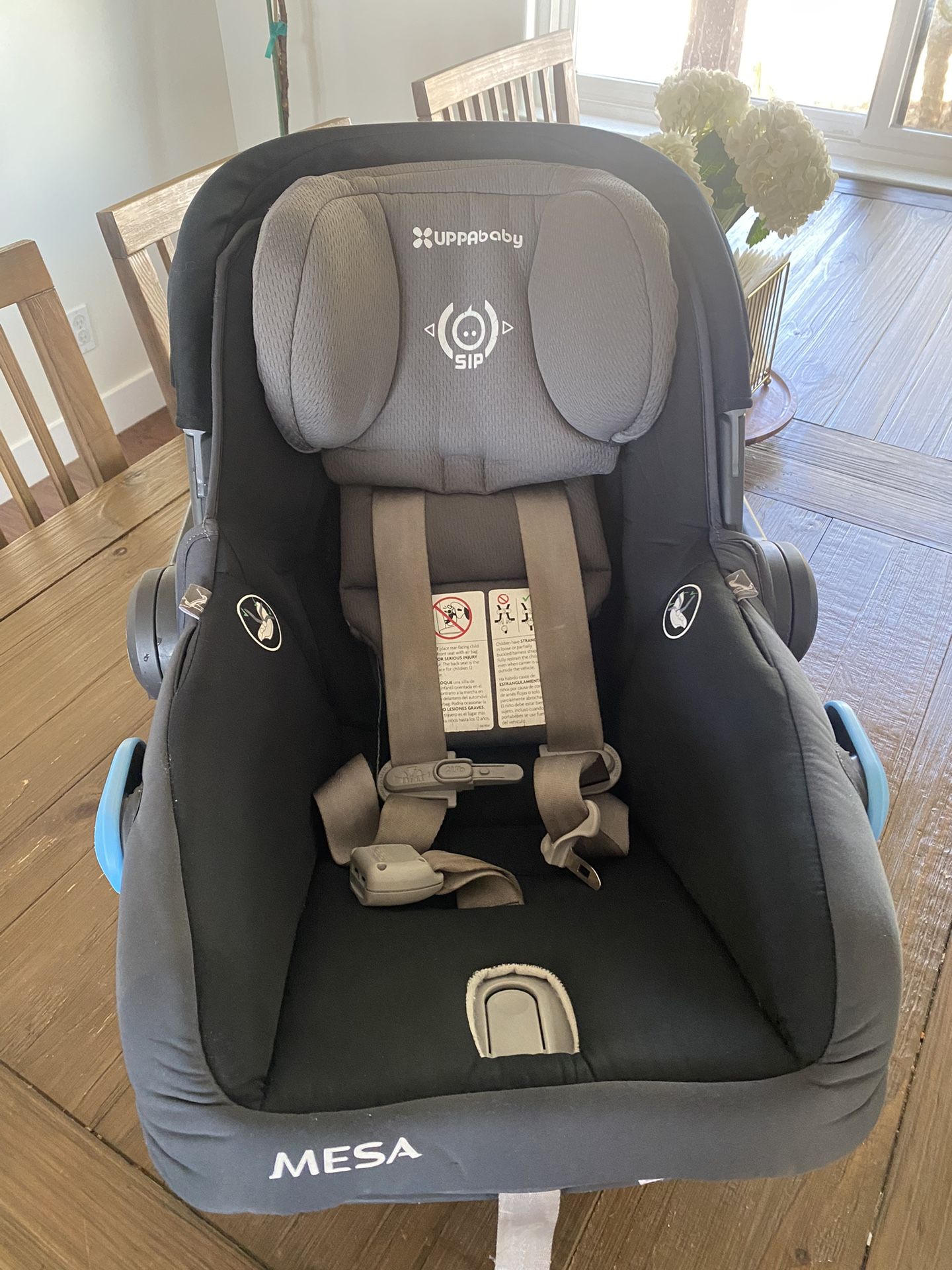 UPPAbaby MESA Infant Car seat