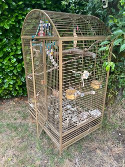 Big parrot Cage