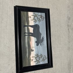 Moose Photo