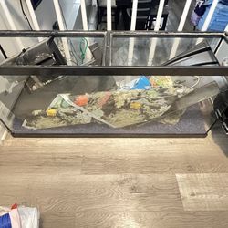 55 Gallon Fish Tank