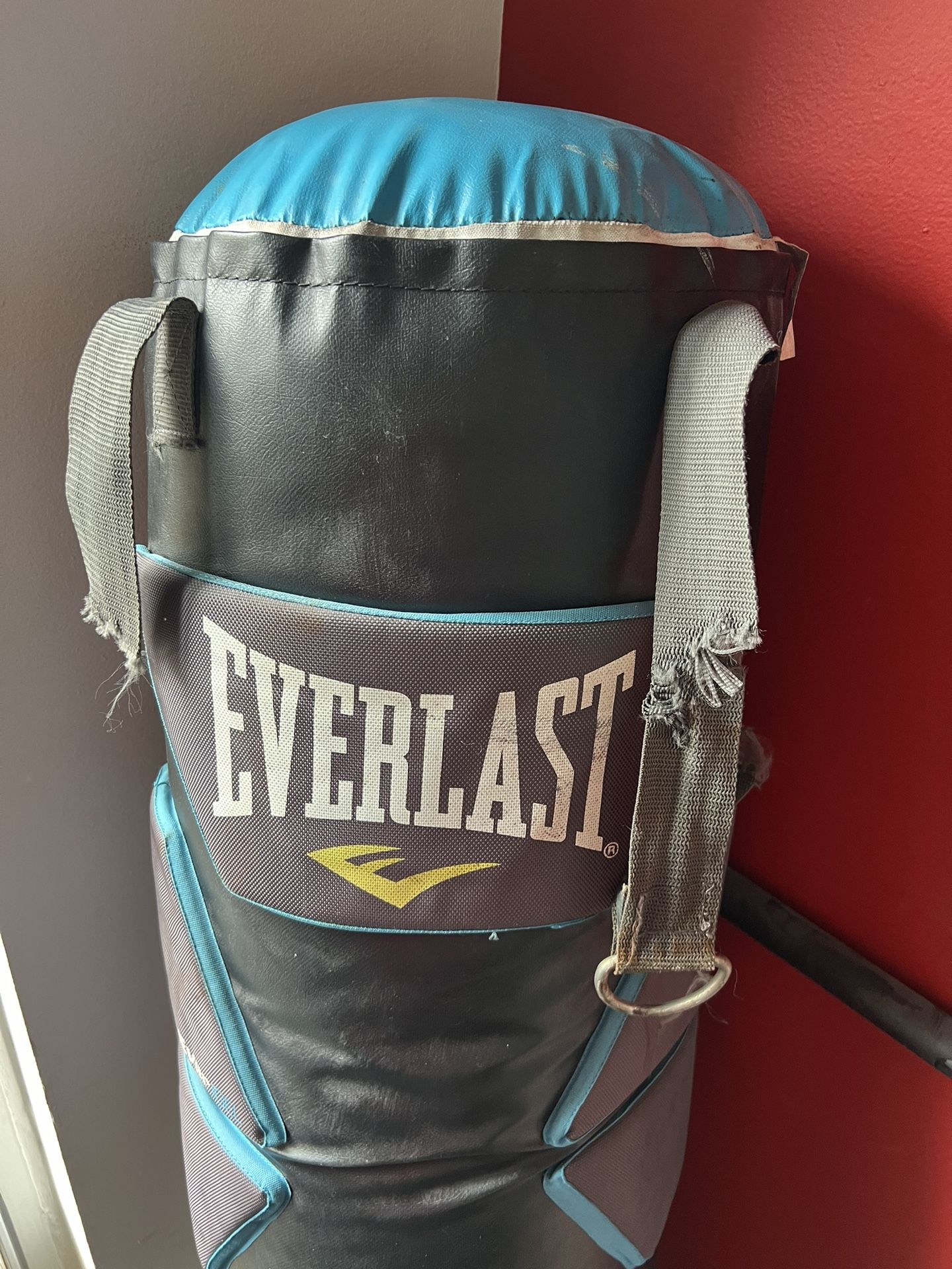 Everlast Punching Bag for Sale in Miami, FL - OfferUp