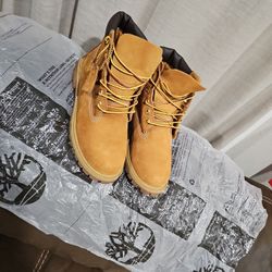 Shoes Timberland