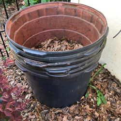 Large 15 Gal Pots