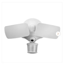 Flood Light Cameras 